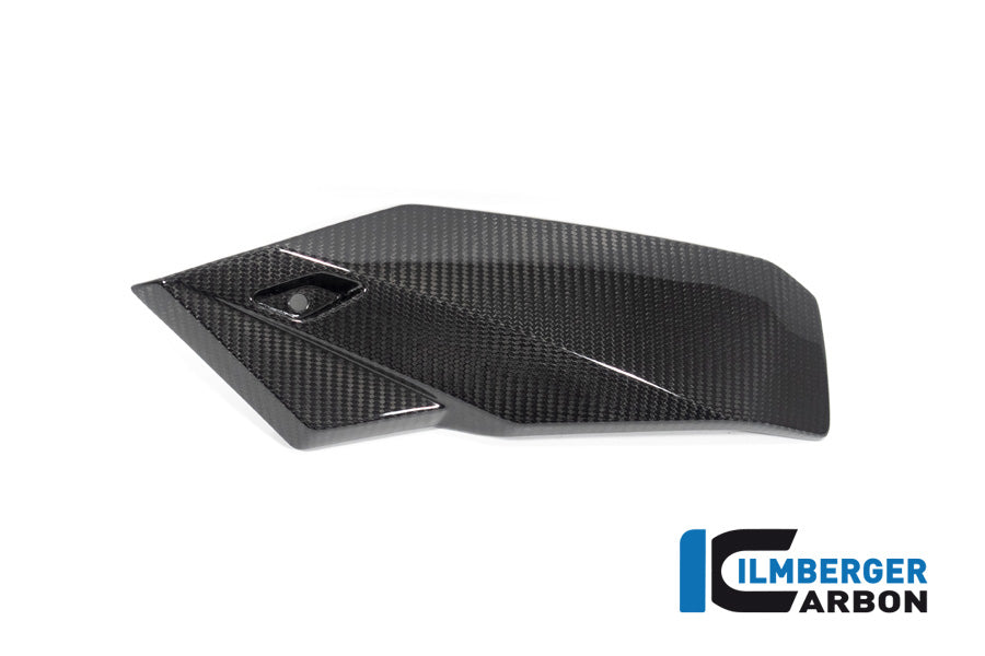 Bellypan left side Glossy Carbon BMW S1000R (2025+)