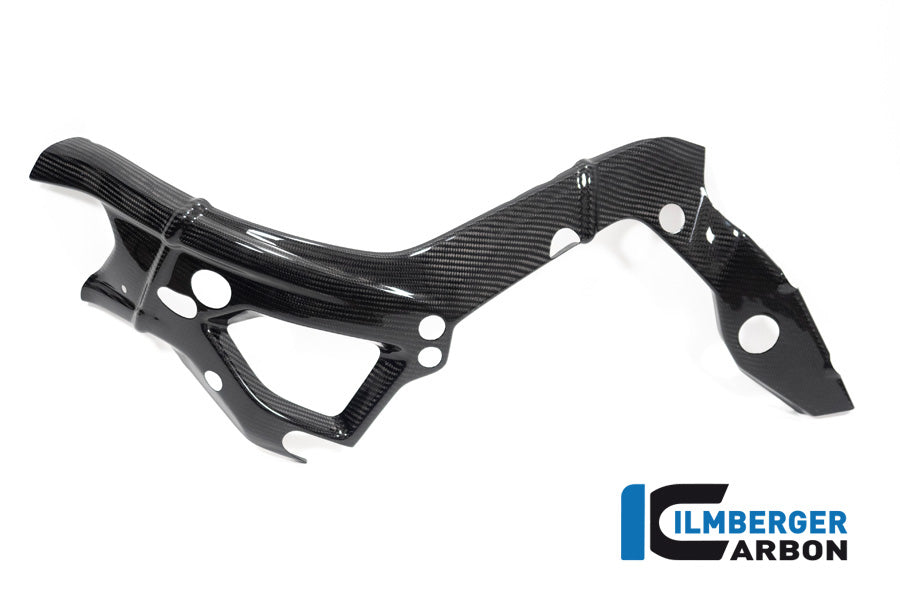 Frame Cover links glanzend carbon BMW M 1000 R (2023-2024)