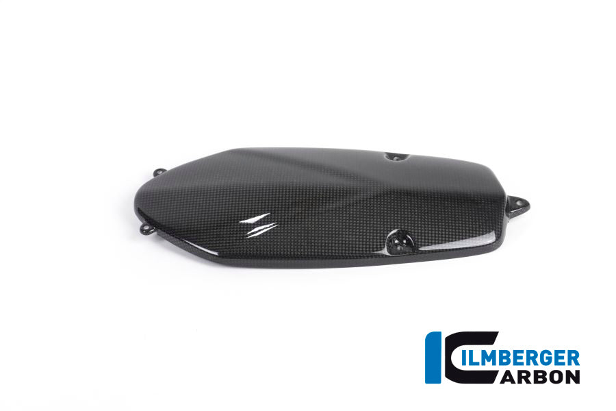 Generatorabdeckung Kohlenstoff R1200S BMW R 1200 S (2006-2008)