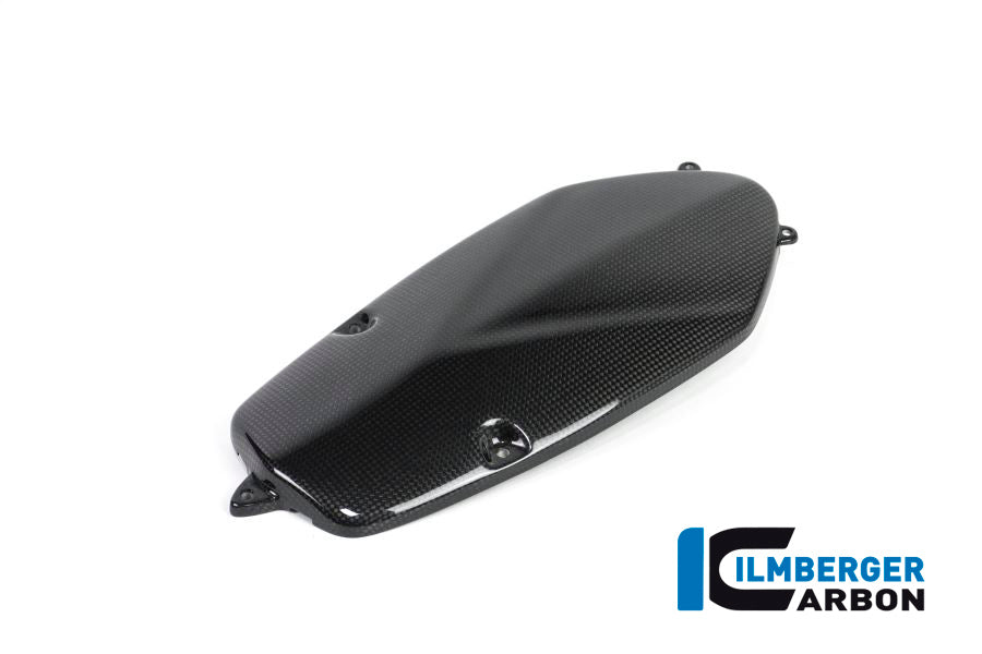 Generatorabdeckung Kohlenstoff R1200S BMW R 1200 S (2006-2008)