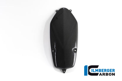 Generatorabdeckung Kohlenstoff R1200S BMW R 1200 S (2006-2008)