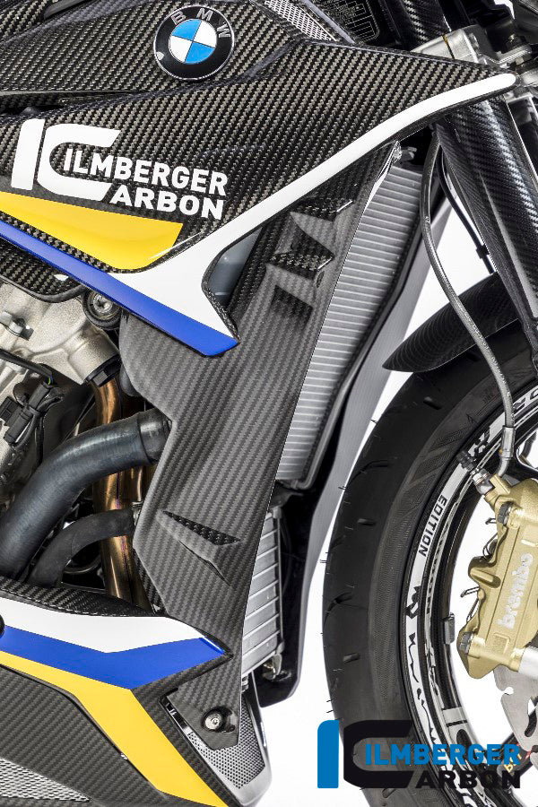 Cubierta del radiador Carbon Right BMW S1000R (2017-2020)