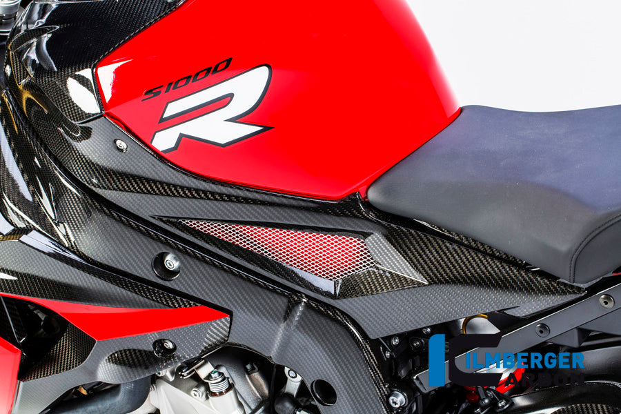 Panel lateral del tanque Izquierda Carbono - BMW S1000RR (2017-2018)