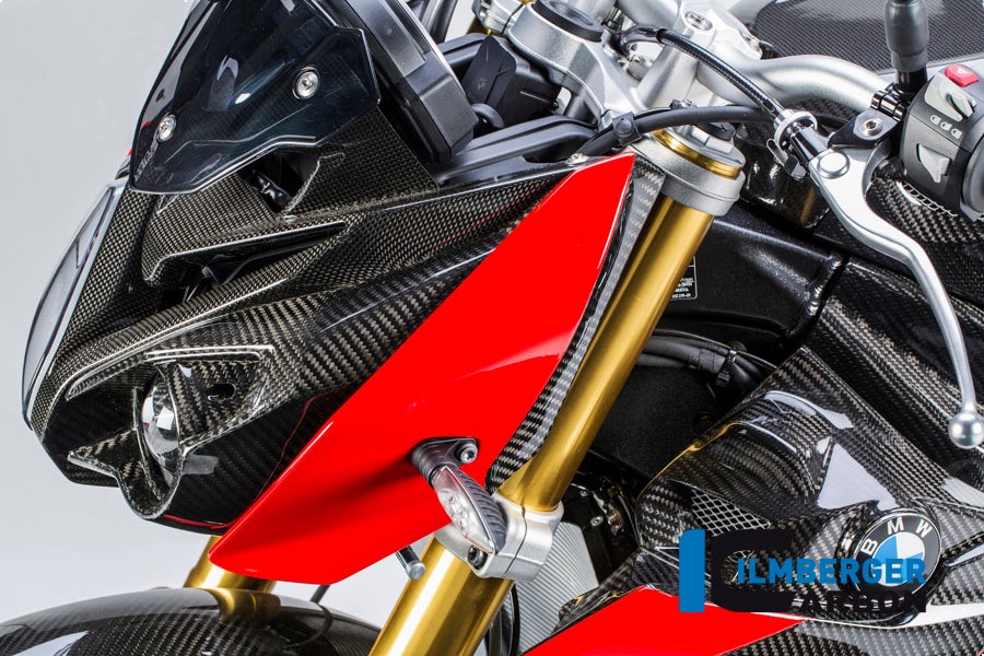Carbon Headlight panel Left BMW S1000R (2017-2020)