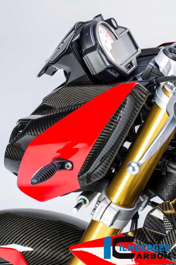 Carbon Headlight panel Left BMW S1000R (2017-2020)