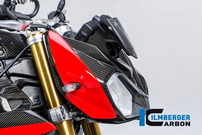 Kolhuvudpanel höger BMW S1000R (2017-2020)