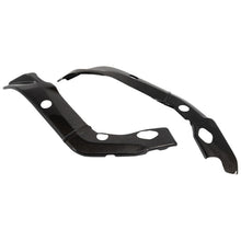 Lightech Carbon Frame Protectors (2 pcs.) (Glossy) BMW S 1000 RR (2009-2014)
