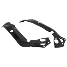 Lightech Carbon Frame Protectors (2 st.) (Glossy) BMW S 1000 RR (2015-2018)