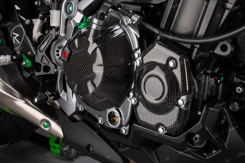 Lightech Carbon Pick-Up Cover (shiny) Kawasaki Z900 (2017-2023)