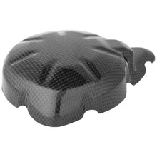 Lightech Carbon Dynamodext (Glossy) Kawasaki Z900 (2017-2023)