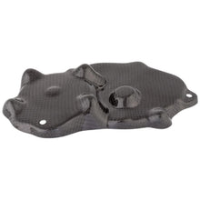 Lightech Carbon Pick-Up Cover (shiny) Kawasaki ZX-6R 636 (2013-2015)