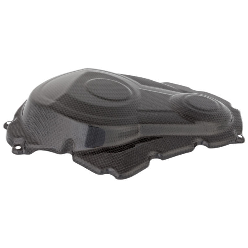 Lightech Carbon Motor Block protector (glossy) Suzuki GSX-R 1000 (2009-2016)