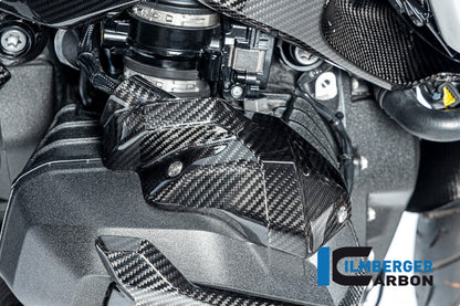 Injector Cover rechts glanzend carbon BMW R1300GS Trophy 2023+