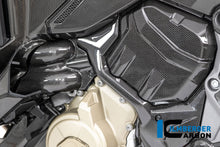 Waterpomp beschermer glanzend carbon Ducati Multistrada V4S (2021-2024)