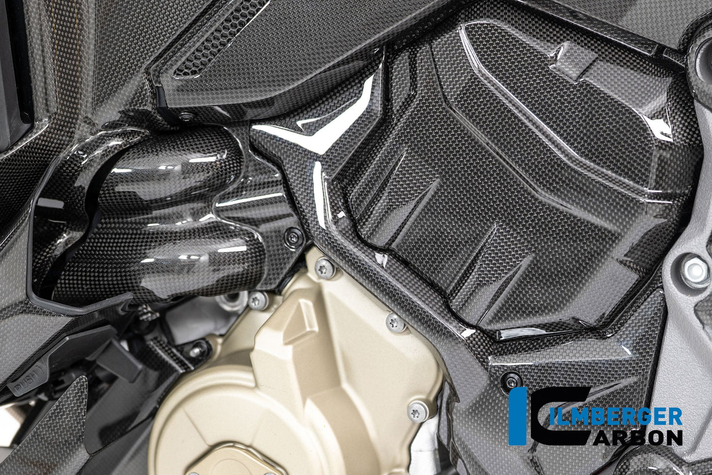 Waterpomp beschermer glanzend carbon Ducati Multistrada V4S Sport (2021-2024)