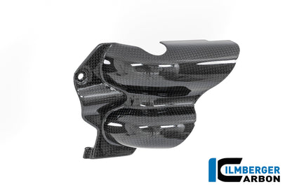 Waterpomp beschermer glanzend carbon Ducati Multistrada V4S (2021-2024)