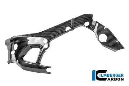 Frame beschermer (links) glanzend carbon - BMW M 1000 RR Street (2025+)