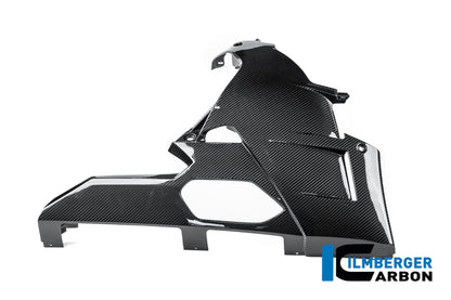 Bellypan glanzend carbon BMW M 1000 RR Street (2025+)