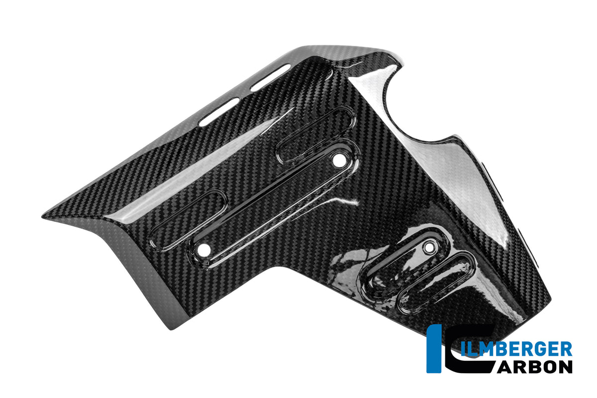 Rechtes glänzendes Carbon-Seitenpanel des Kühlers BMW R1300GS Adventure Trophy (2024+)