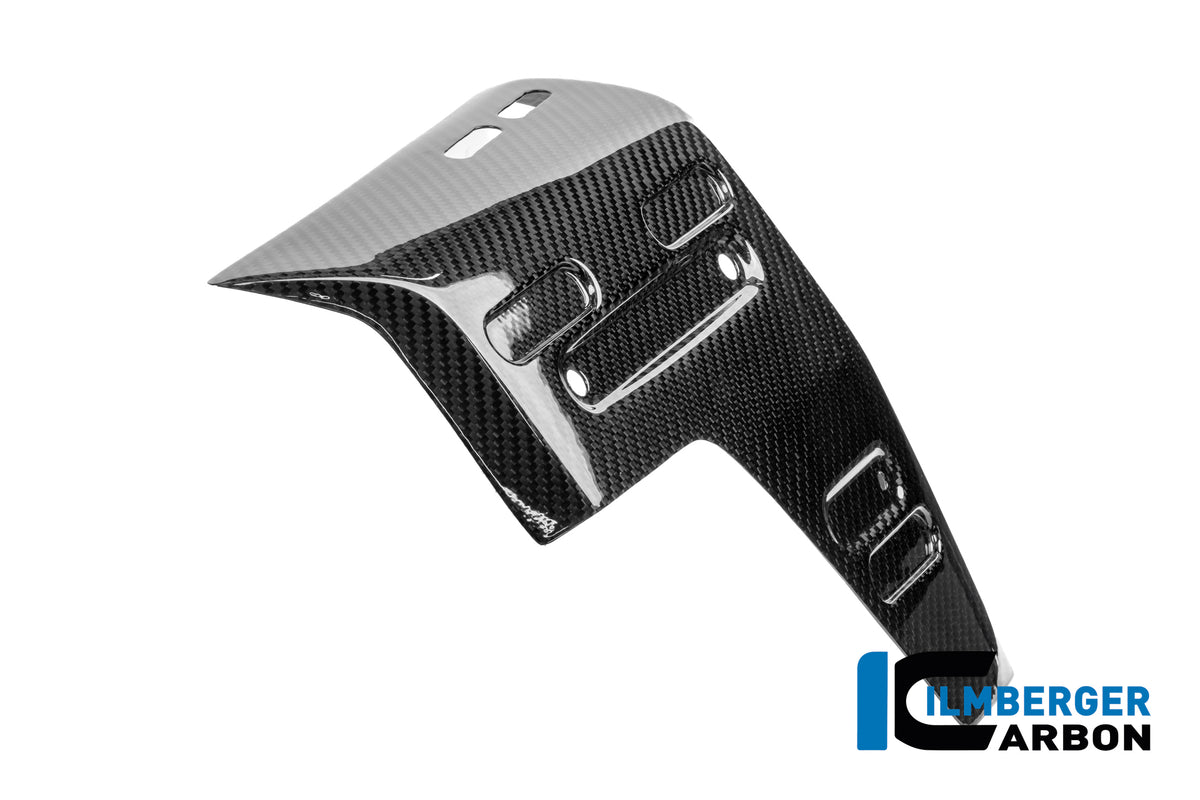 Rechtes glänzendes Carbon-Seitenpanel des Kühlers BMW R1300GS Adventure Trophy (2024+)