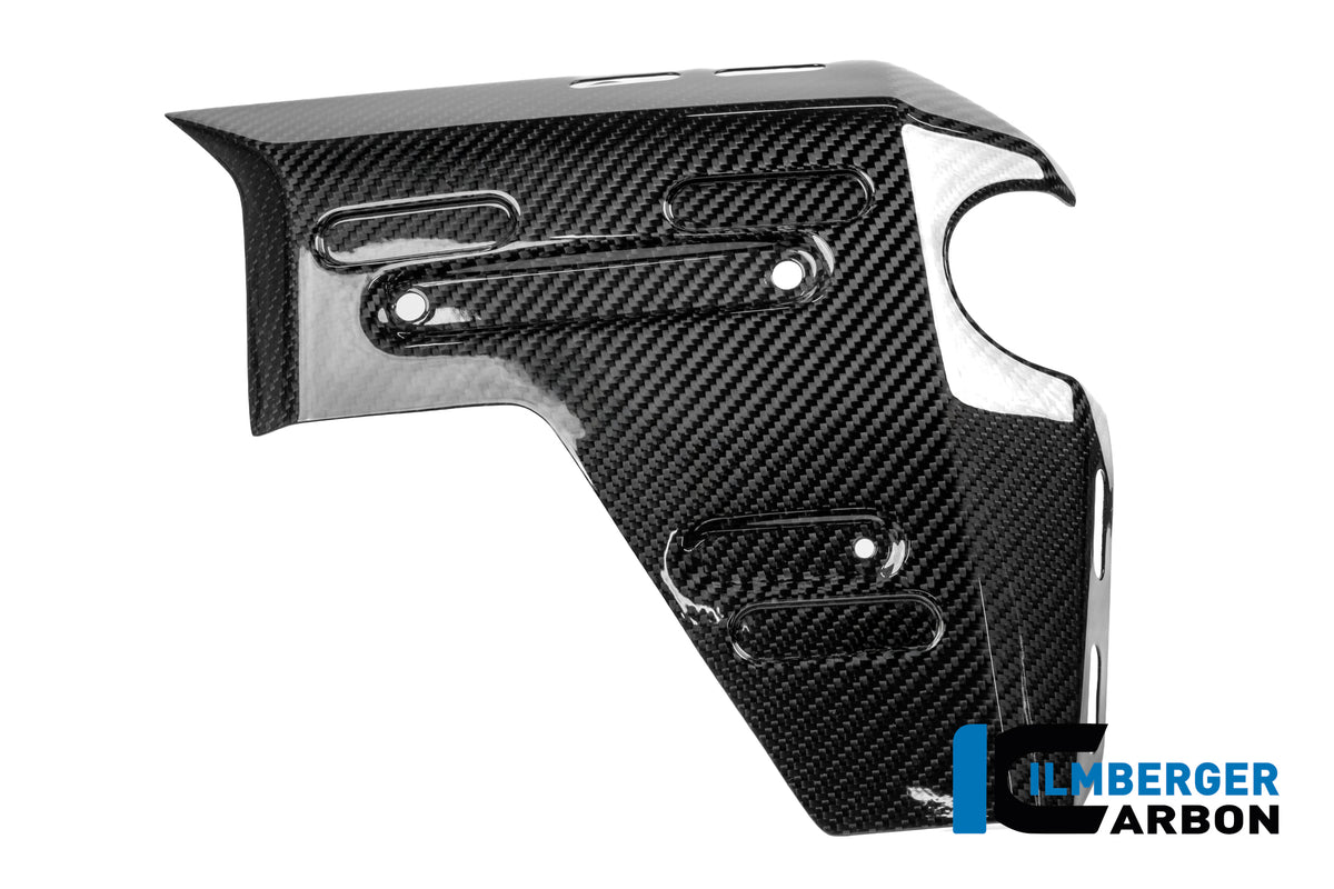 Rechtes glänzendes Carbon-Seitenpanel des Kühlers BMW R1300GS Adventure Trophy (2024+)