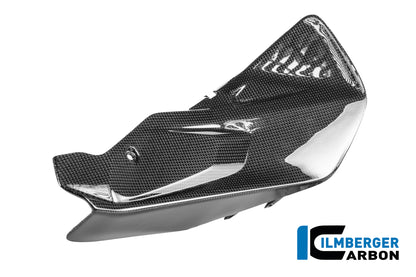 Kettingcover glanzend carbon Ducati Panigale V4R (2026+)