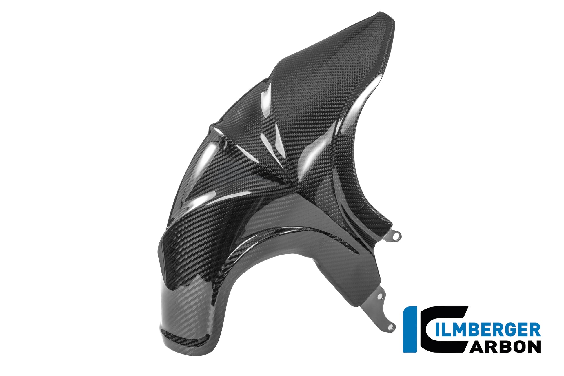 Achterspatbord carbon hoogglans BMW R1300RS (2025+)