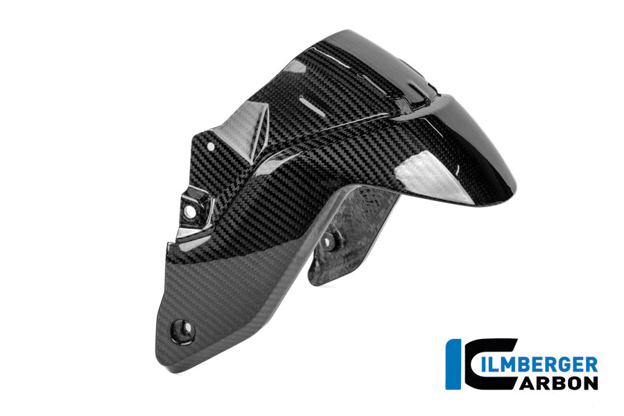 Voorspatbord carbon hoogglans BMW R1300RS Performance (2025+)