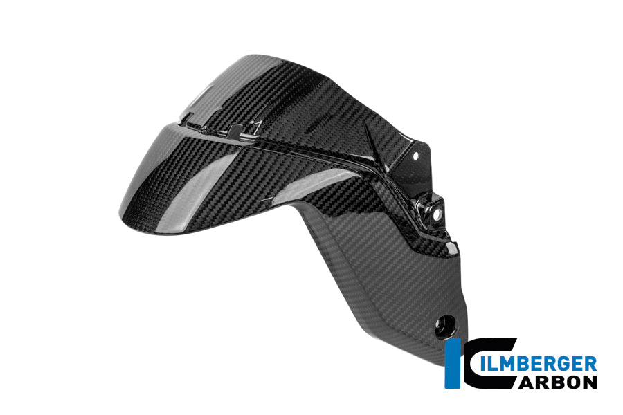 Voorspatbord carbon hoogglans BMW R1300RS Performance (2025+)