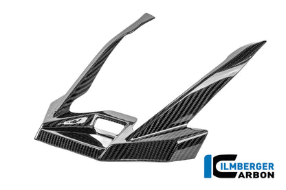 Extensión del pico frontal BMW R1250GSA Adventure (2019+)