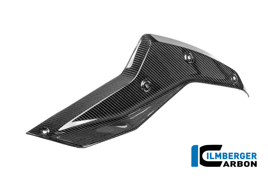 Sidopanel under tanken vänster BMW R1250R (2019+)