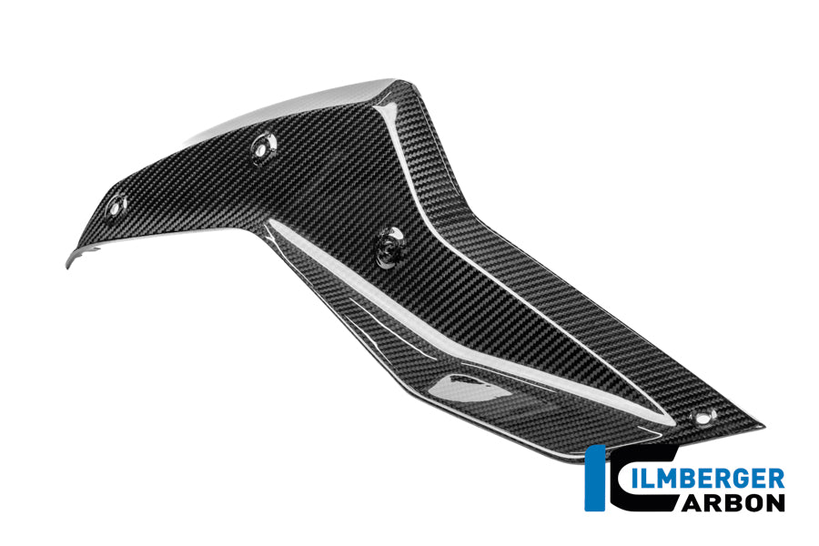 Panel lateral debajo del tanque izquierdo BMW R1250R (2019+)