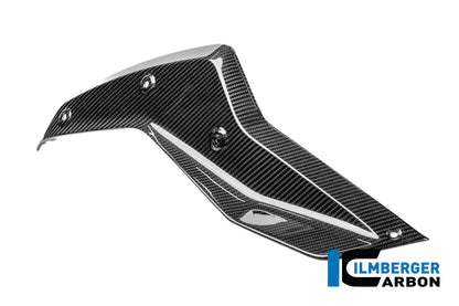 Panel lateral debajo del tanque izquierdo BMW R1250R (2019+)