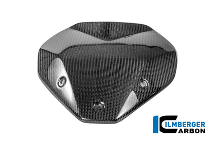 Windscherm glanzend carbon BMW R1300R Exclusive (2025+)