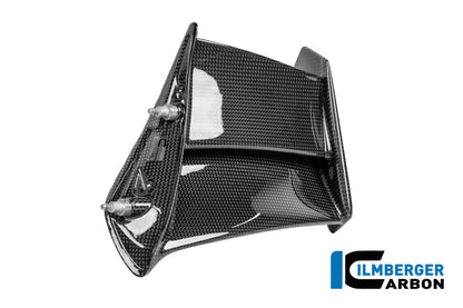 Winglet V4R-stijl (links) glanzend carbon Ducati Panigale V4 Tricolore (2025)