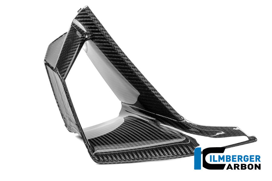 Binnenzijde winglet links glanzend carbon BMW S 1000 RR (2025+)