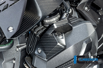 Injector Cover links mat carbon BMW R1300GS Triple Black 2023+