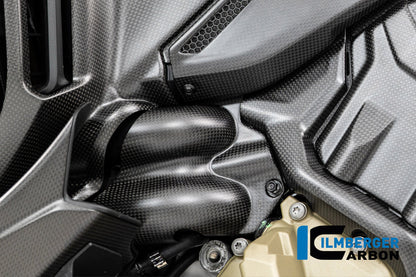 Waterpomp beschermer mat carbon Ducati Multistrada V4S Sport (2021-2024)