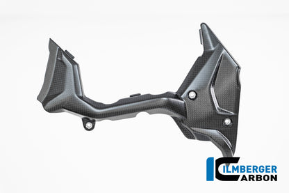 Voortandwielcover mat carbon Ducati Multistrada V4S (2025+)