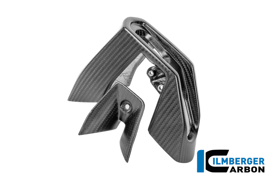 Uitlaat eindkapset carbon mat BMW R1300R Performance (2025+)