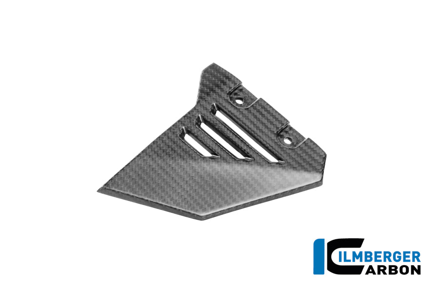 Cubierta triangular del bastidor, parte delantera izquierda, de carbono mate BMW R1300GS Adventure Trophy (2024+)