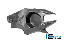Achterbrugcover (links) mat carbon Ducati Panigale V4R (2026+)