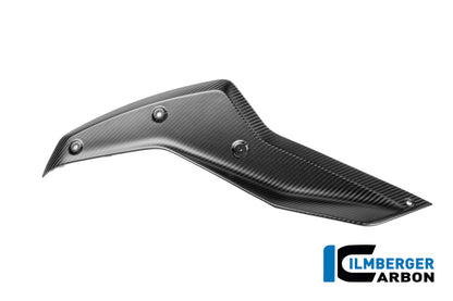Side Fairing under the tank left (upper panel) matte Carbon BMW R1300GS Adventure (2024+)
