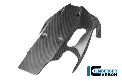 Bellypan mat carbon BMW R1300R (2025+)