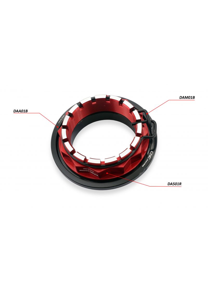 Achteras 'Bicolore' Moer Tandwieldrager Links Ducati Diavel V4 RS (2025+)