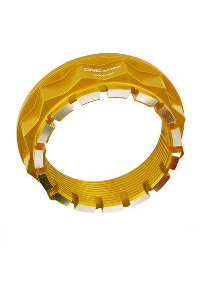 Hinterradachse Linksseite Ducati Bicolore Ducati Xdivel (2016-2017)