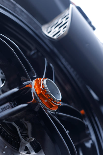 Hinterrad Heckmonat am rechten KTM 1290 Superduke GT (2017-2024)