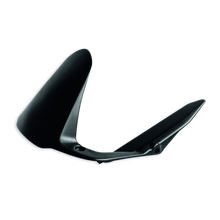 Ducati Performance Rear Fender Mat Carbon Ducati Monster 797