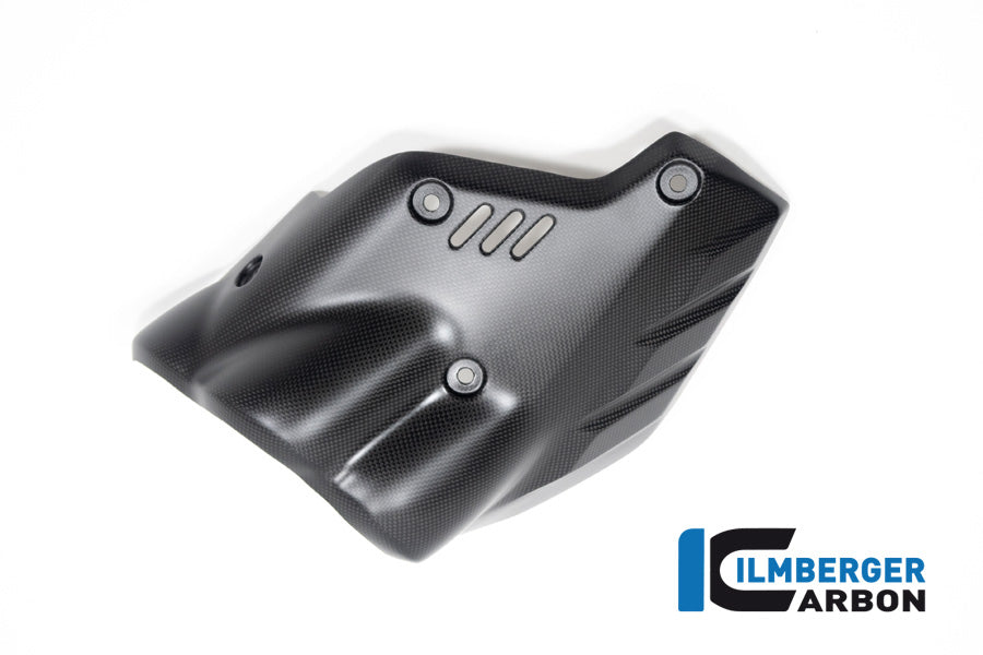 Uitlaathitteschild muffler mat carbon Ducati Diavel V4 RS (2025+)