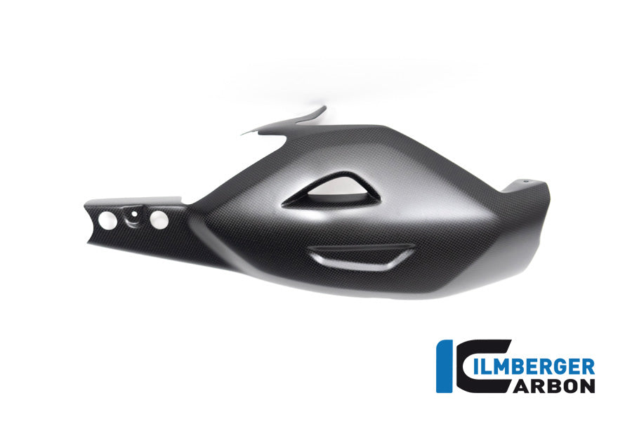 Achterbrug beschermer mat carbon Ducati Diavel V4 RS (2025+)